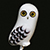 Tutorial: Snowy owl